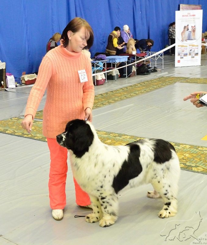 Фотография № 203631