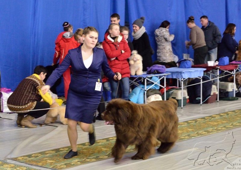 Фотография № 203640