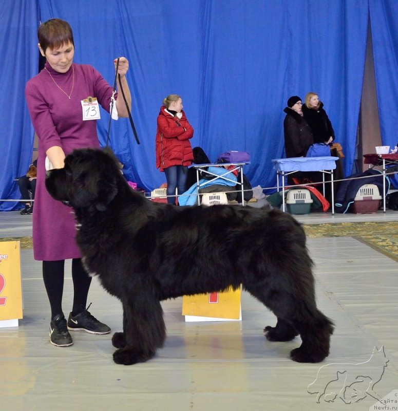 Фотография № 203645