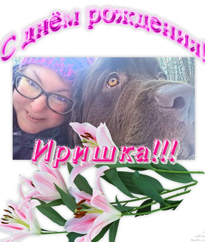 Фотография № 203647