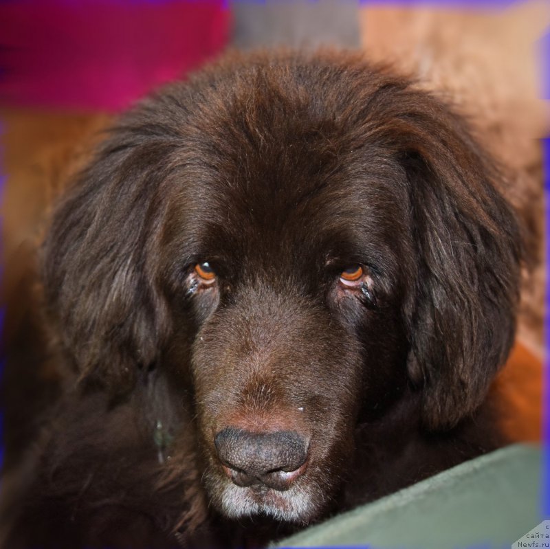 Фотография № 203673