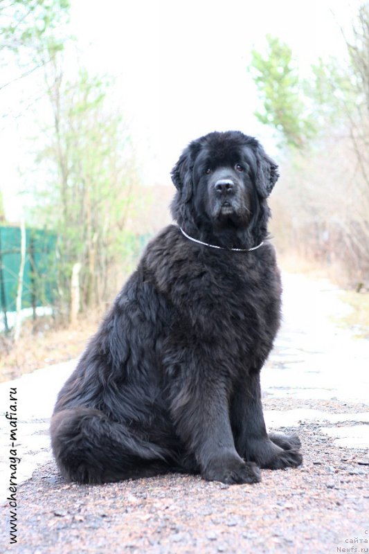 Фотография № 203676