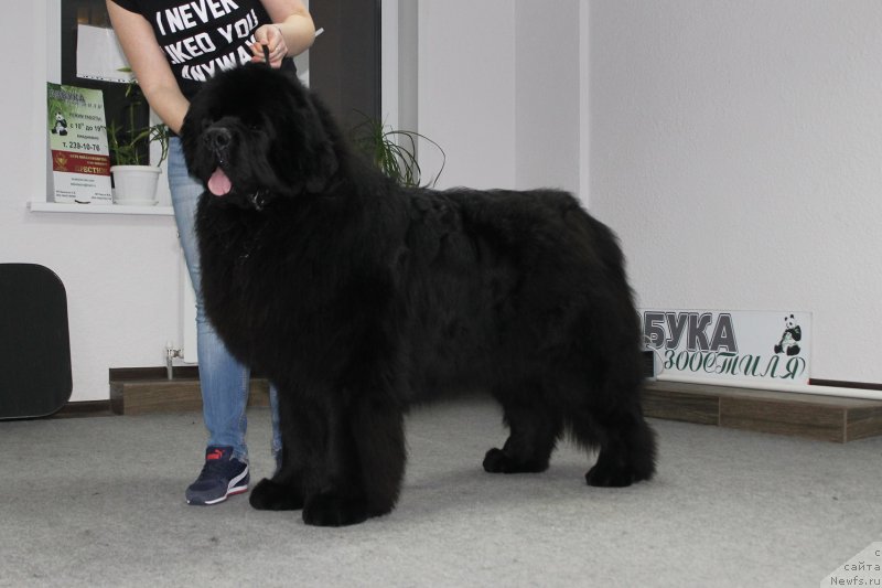 Фотография № 203714