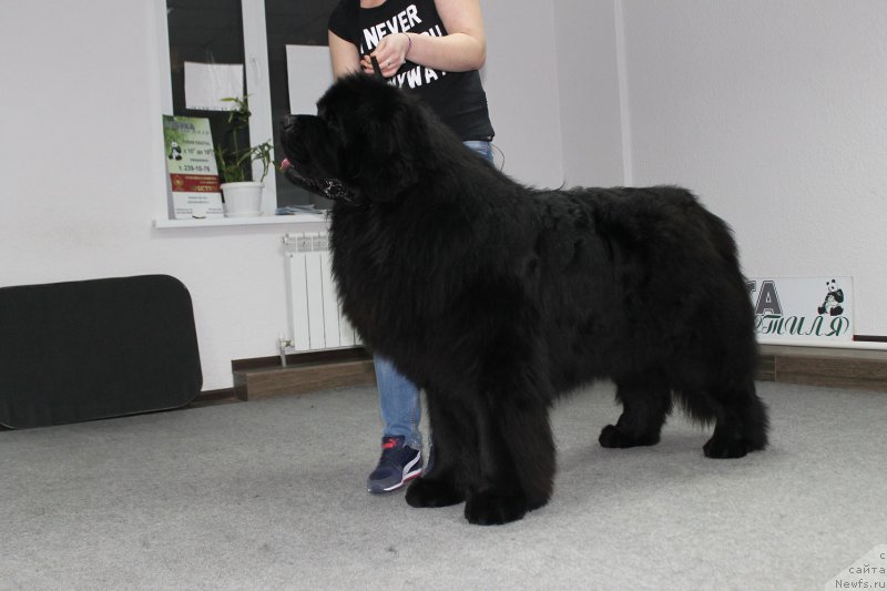 Фотография № 203715