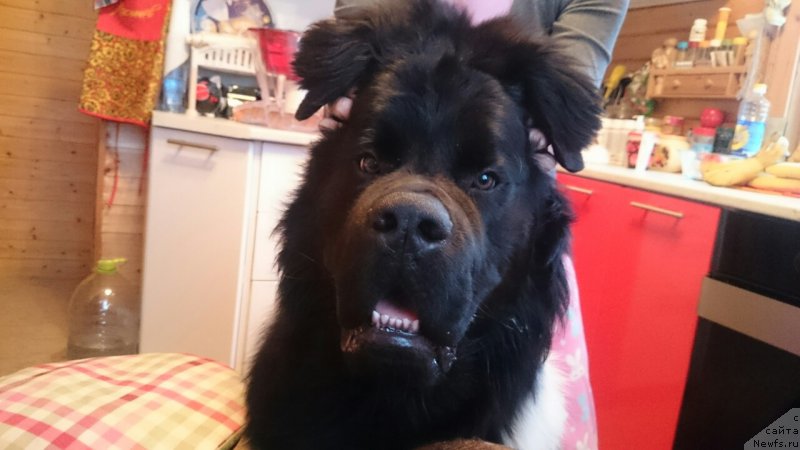 Фотография № 203718