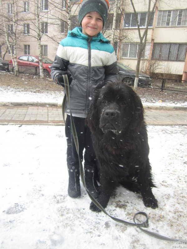 Фото: Наталья Смазчикова