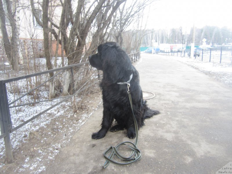 Фото: Наталья Смазчикова