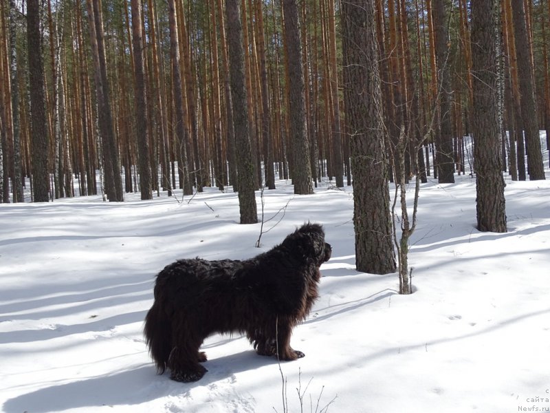 Фотография № 203742