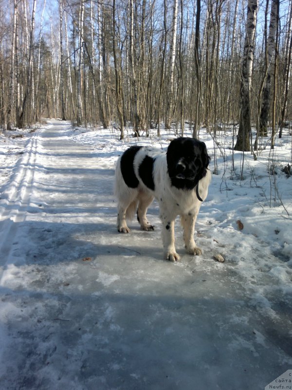 Фотография № 203749