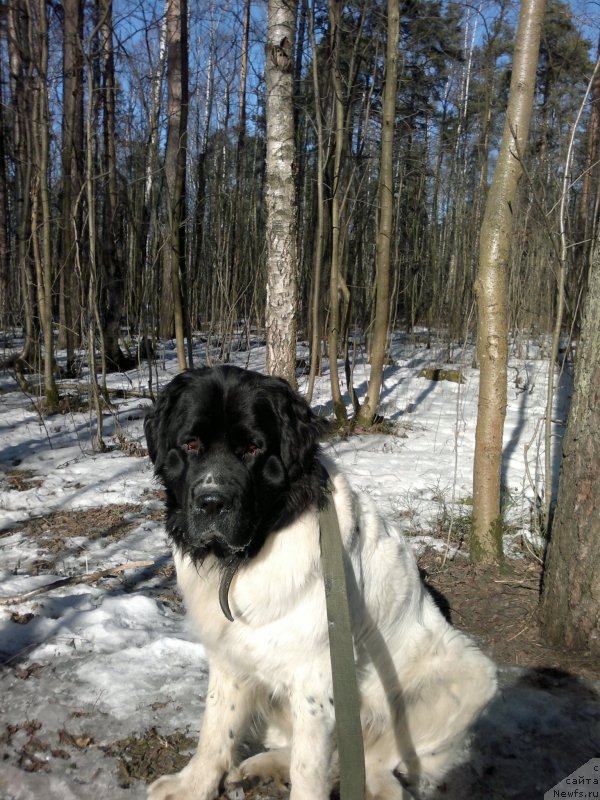 Фотография № 203752