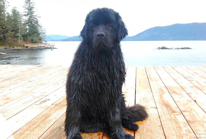 Фотография № 203763