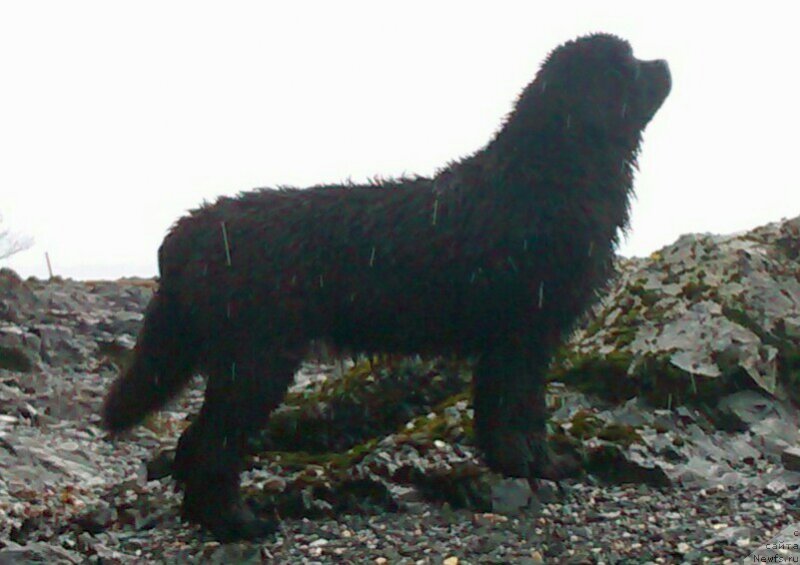 Фотография № 203765