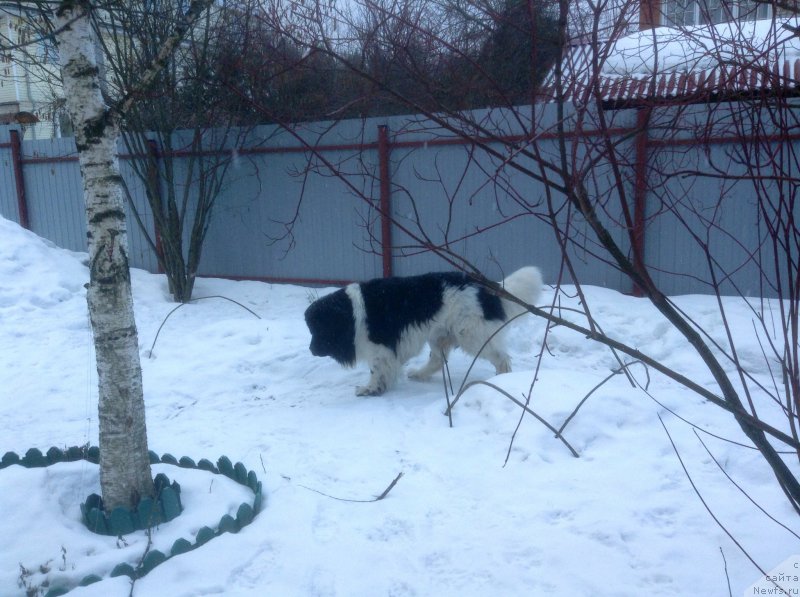 Фотография № 203768