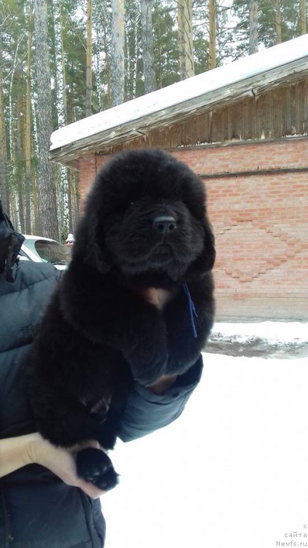 Фотография № 203773