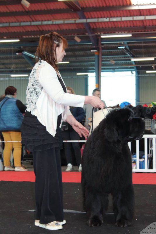 Фотография № 203781