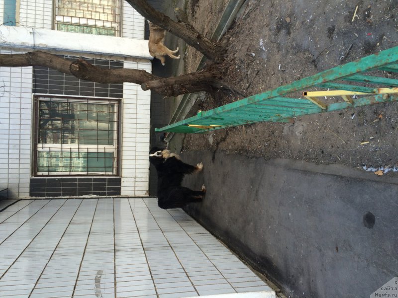 Фотография № 203783