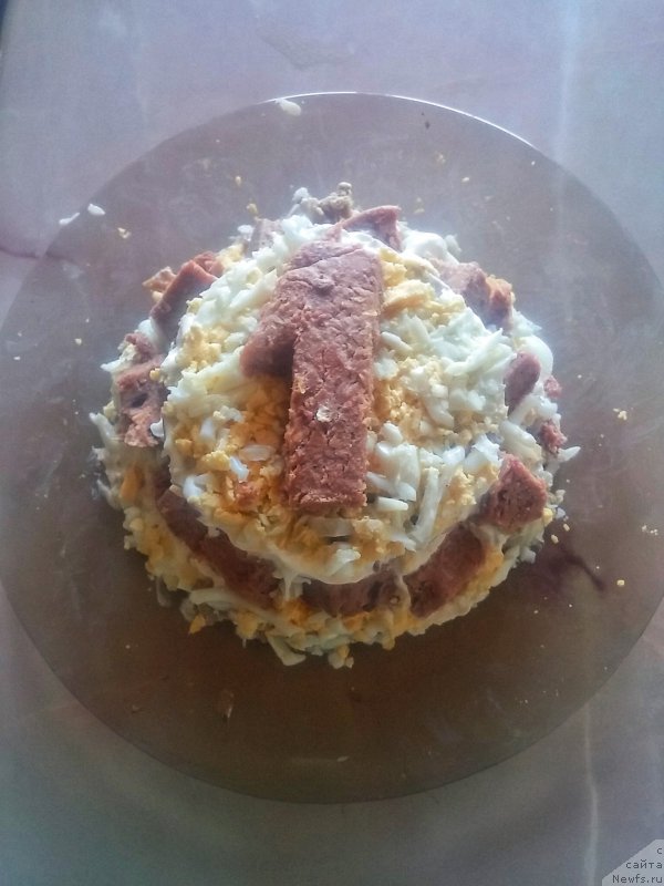 Фото: ньюфаундленд Ньюфорт Дивная Диана