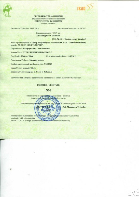 Фотография № 203795