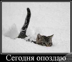 Фотография № 203797