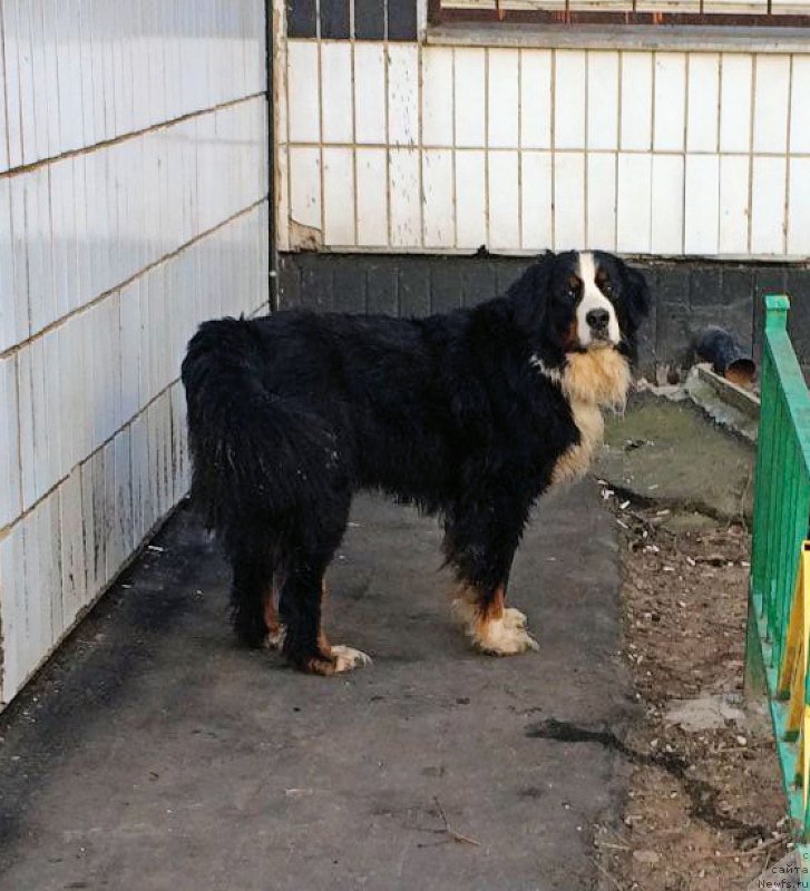 Фотография № 203807