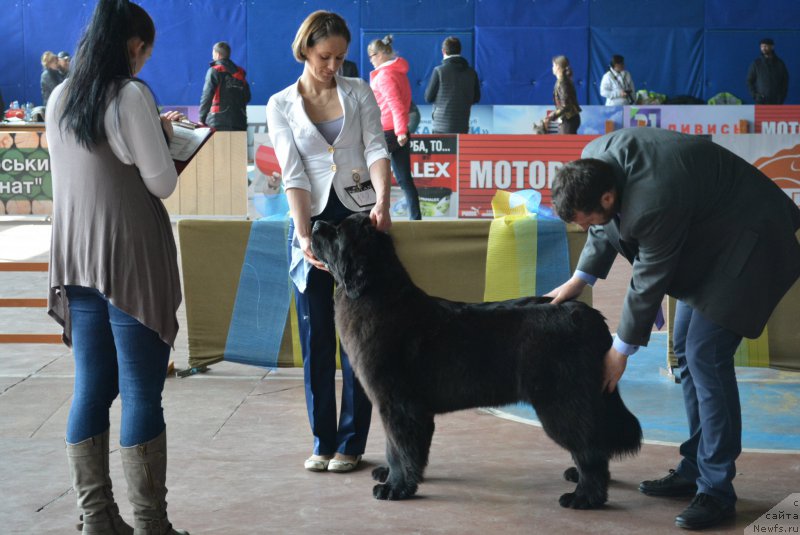 Фотография № 203848