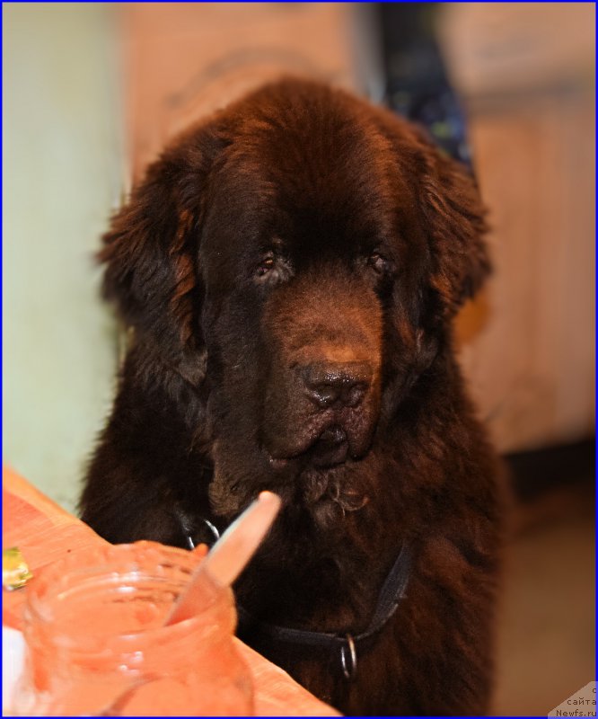 Фотография № 203852