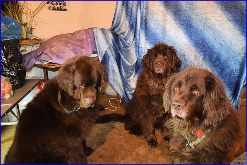 Фотография № 203853