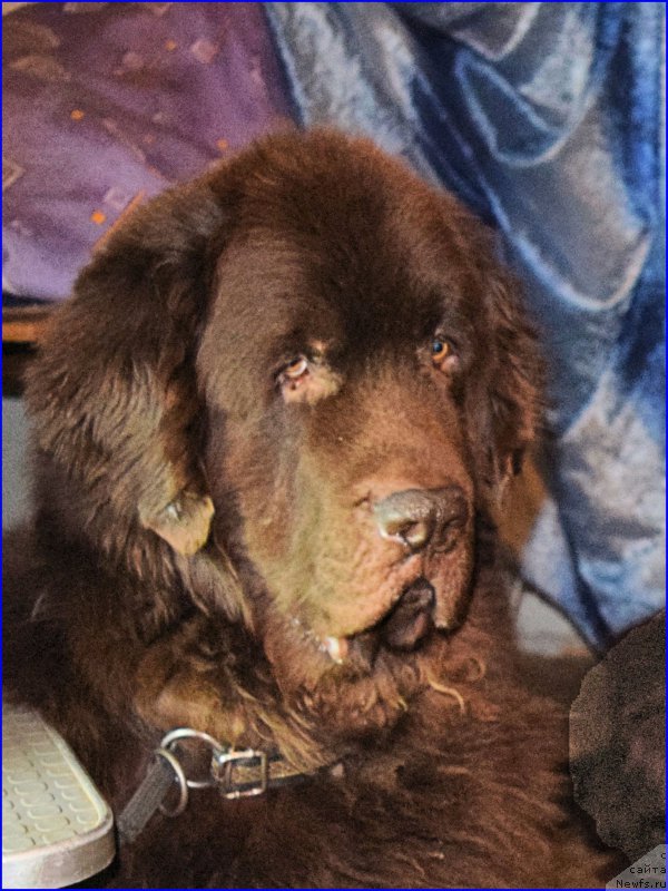 Фотография № 203855