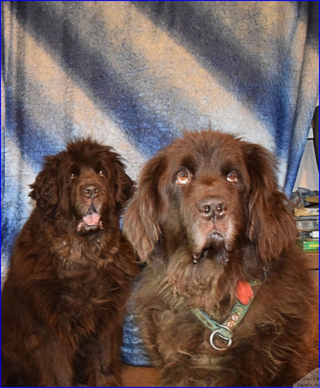 Фотография № 203856