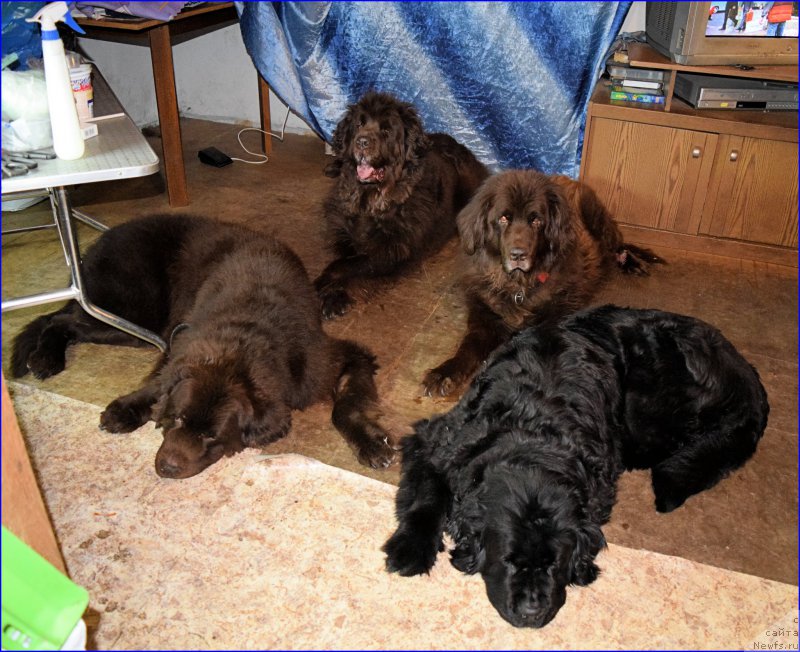 Фотография № 203857