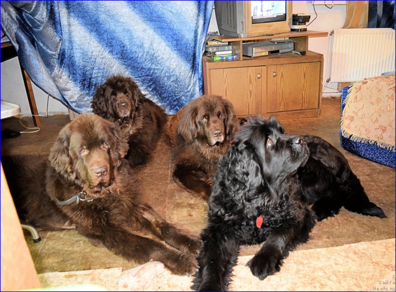 Фотография № 203858