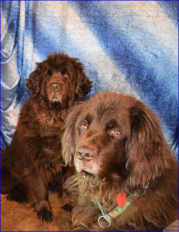 Фотография № 203859