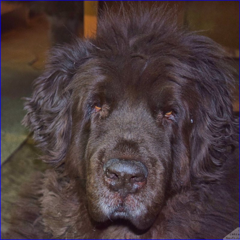 Фотография № 203861