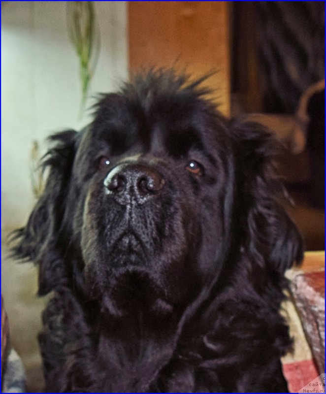 Фотография № 203864