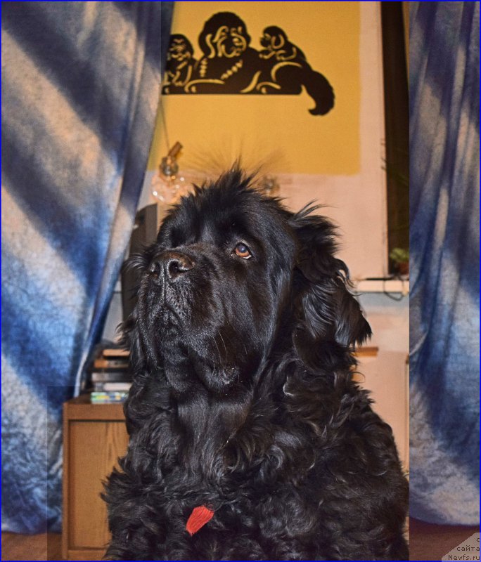 Фотография № 203869