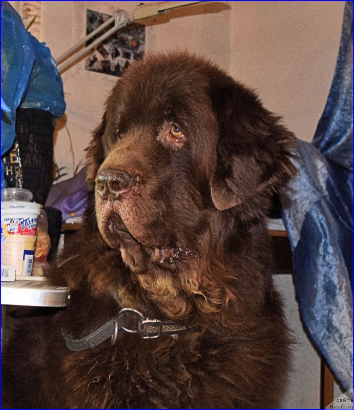 Фотография № 203870