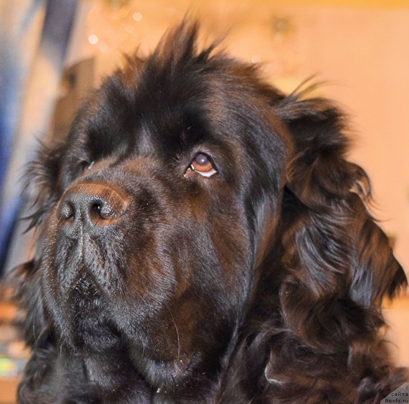 Фотография № 203872