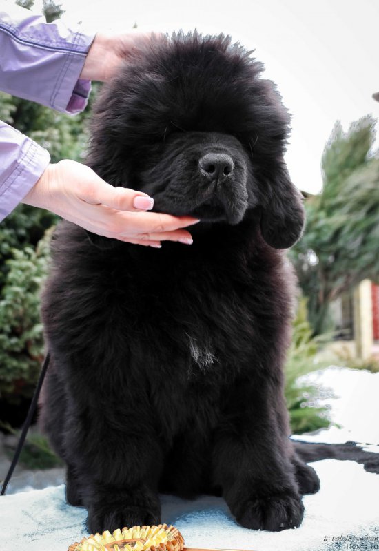 Фотография № 203877