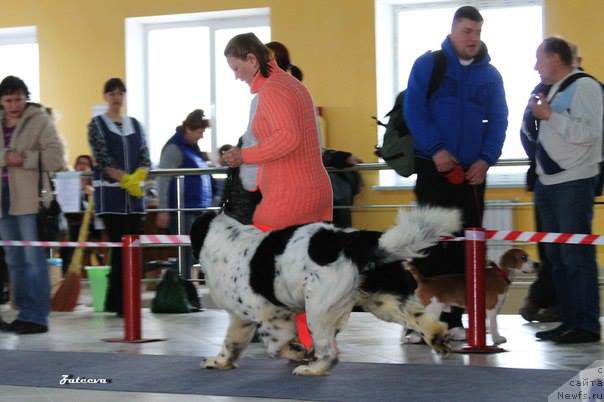 Фотография № 203897