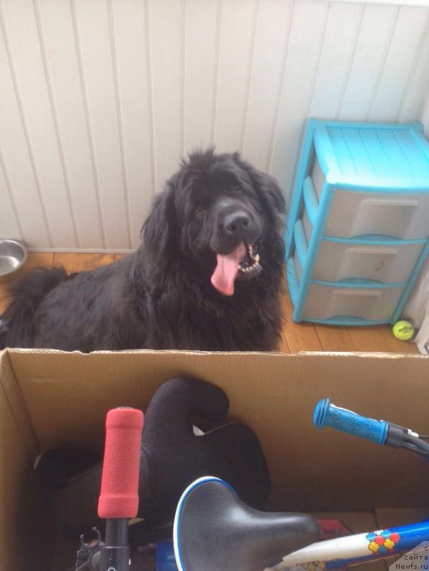 Фотография № 203927