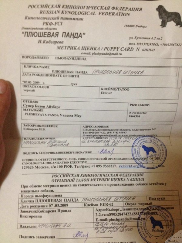 Фотография № 203934