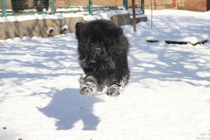 Фотография № 203998