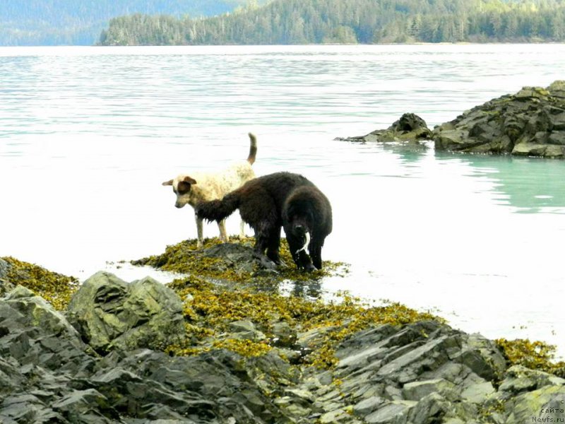 Фотография № 204015