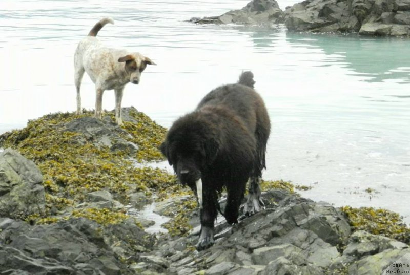 Фотография № 204017