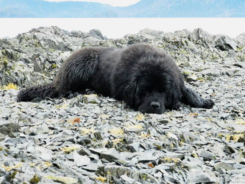 Фотография № 204018