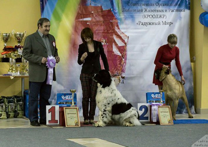 Фотография № 204026