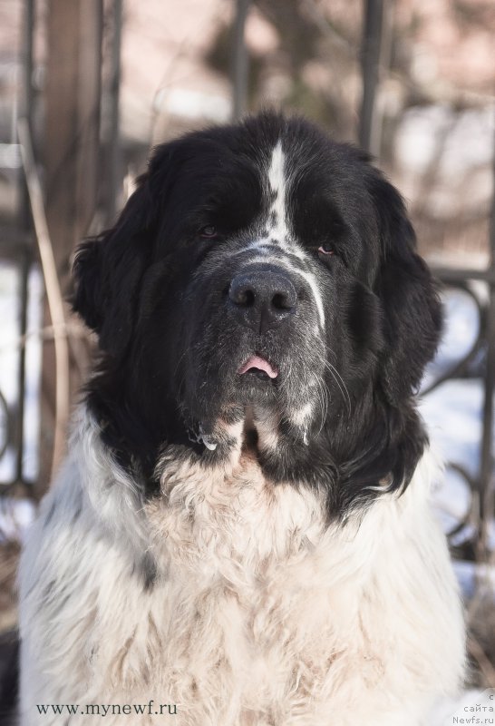 Фотография № 204185