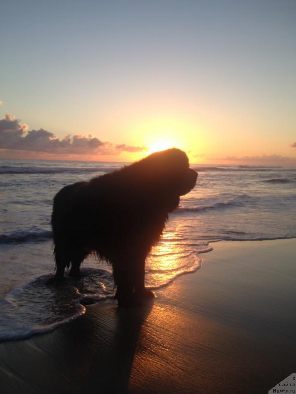 Фотография № 204187