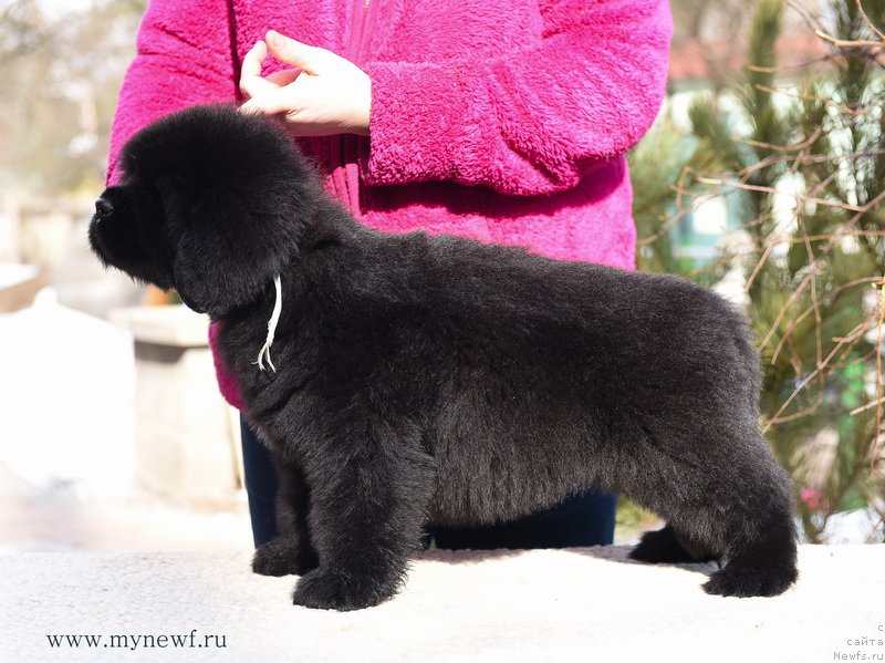 Фотография № 204207