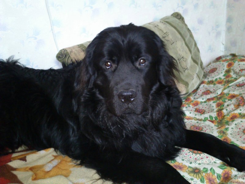 Фото: Ирина Кондакова